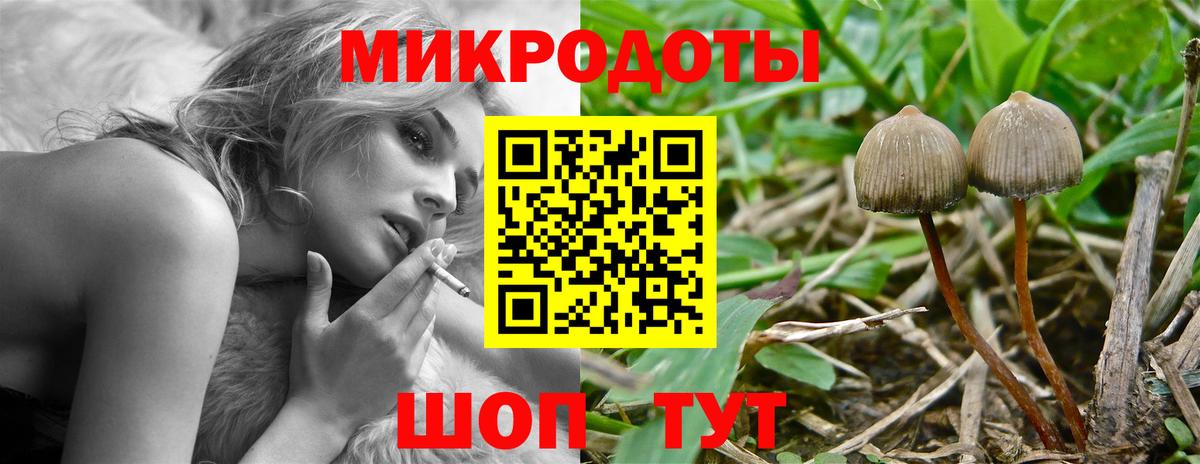 Галлюциногенные грибы мицелий Кунгур